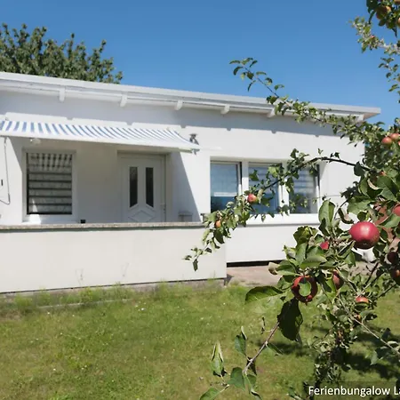 شقة In Bodden & Ostsee Naehe ساغارد